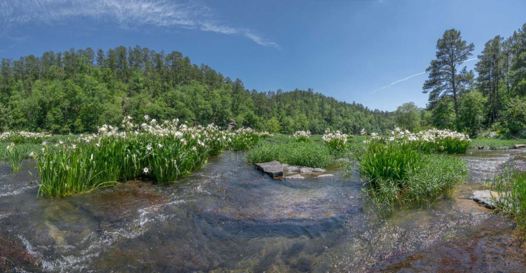 Experience and Enjoy the Beautiful Cahaba River Park - Rambling Russells